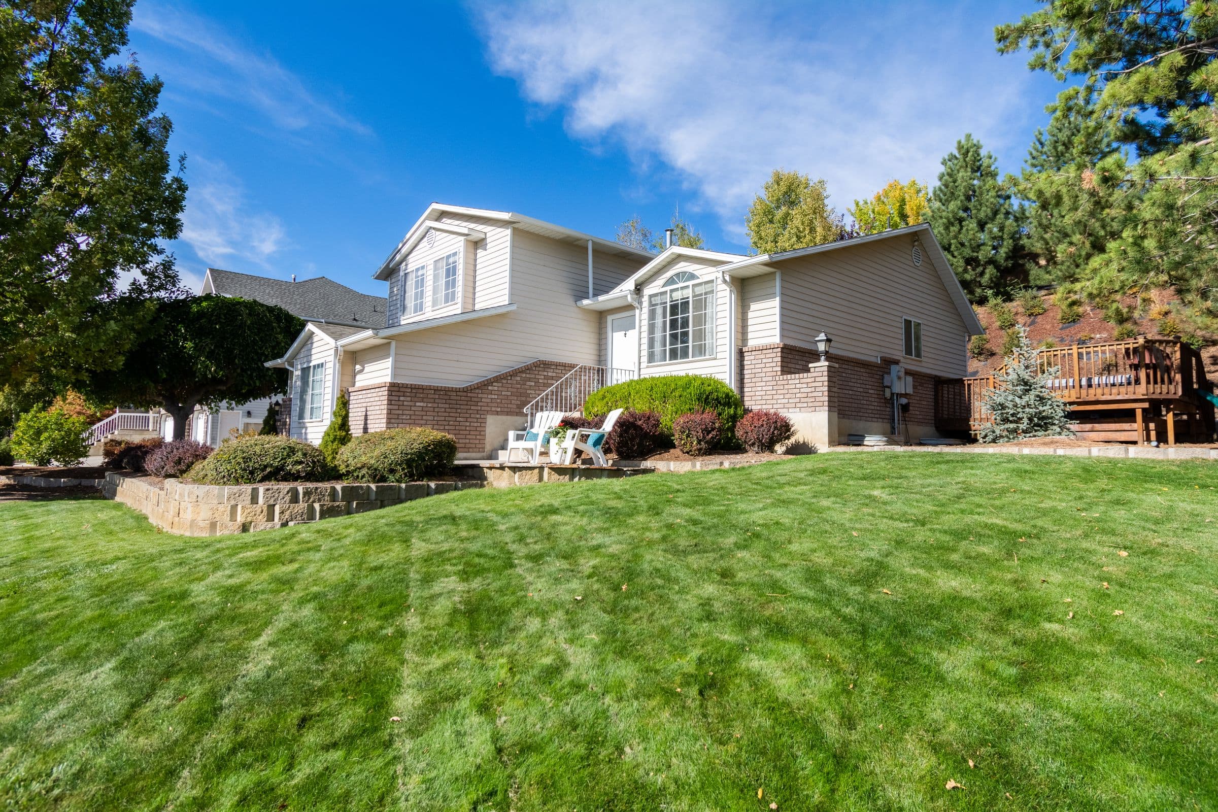 Well-maintained suburban front yard with mature trees