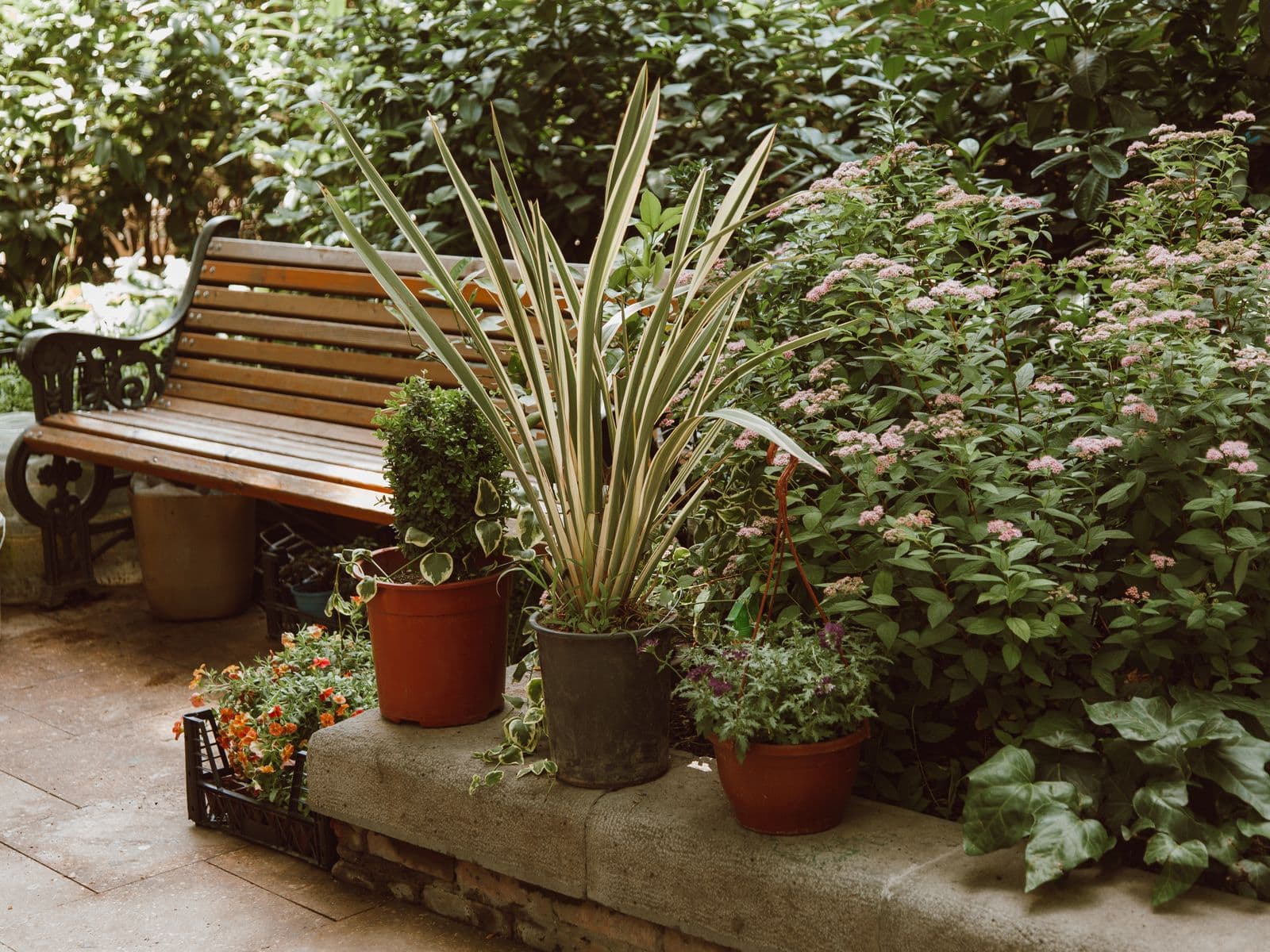 Patio bordered by potted plants