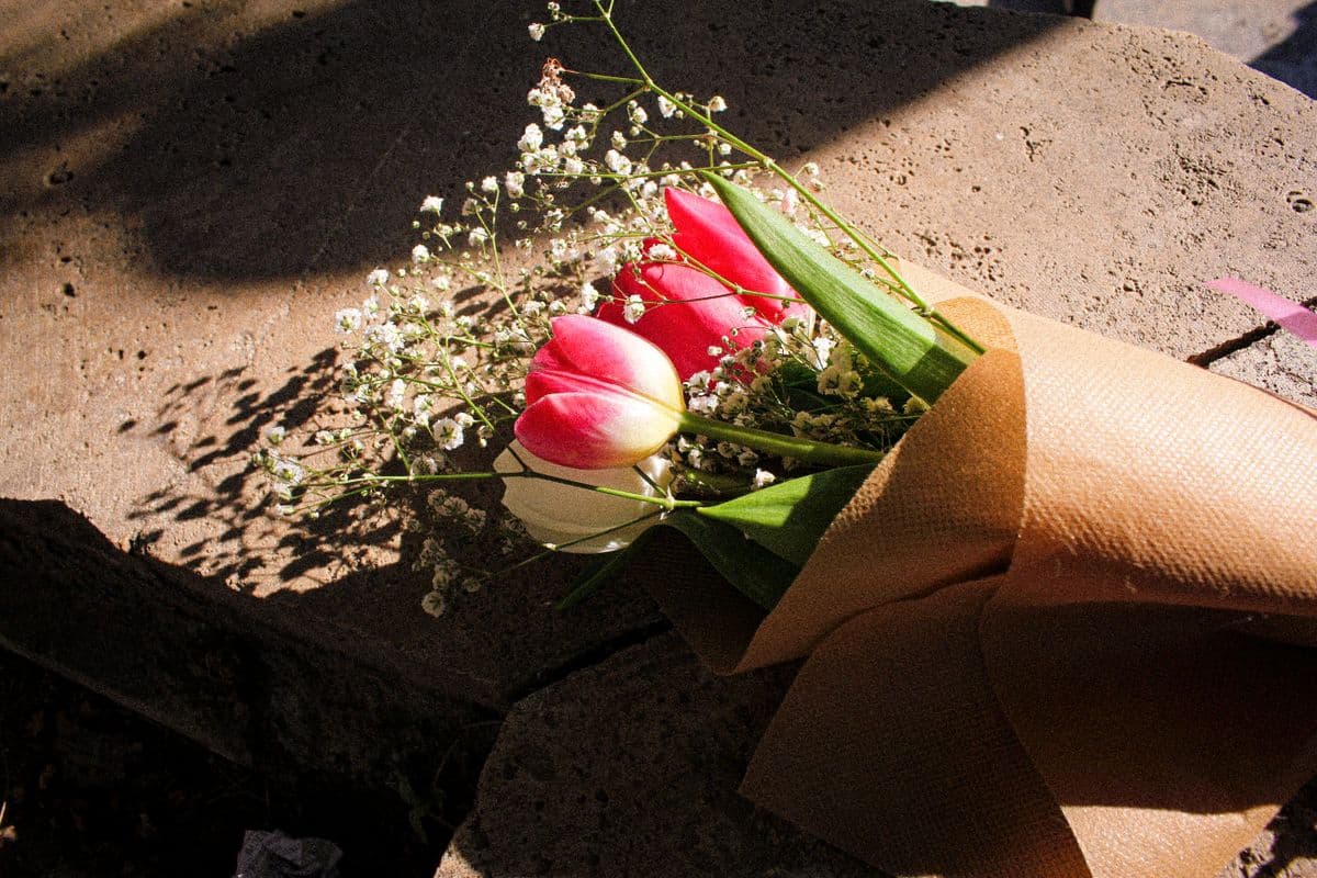 Red and white tulips with baby’s breath wrapped in brown kraft paper
